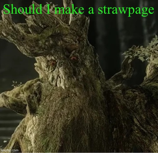 Hecate | Should I make a strawpage | image tagged in hecate | made w/ Imgflip meme maker