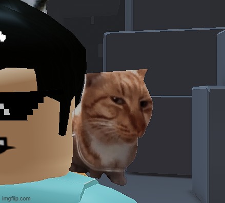 They have Spire in Roblox | made w/ Imgflip meme maker