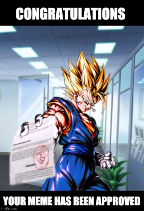 vegito is nice | image tagged in vegito is nice | made w/ Imgflip meme maker