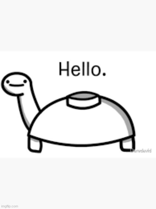 mineturtle | made w/ Imgflip meme maker