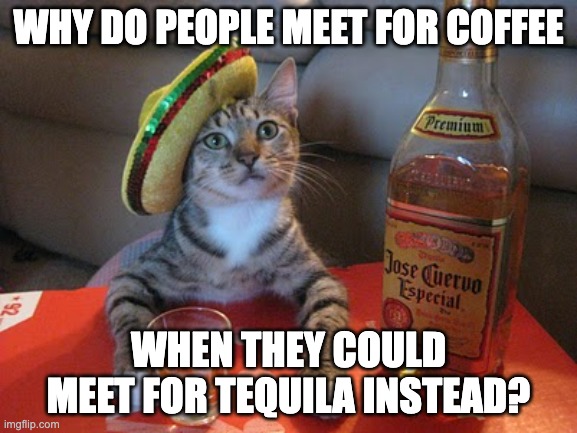 Smartest Cat ever | WHY DO PEOPLE MEET FOR COFFEE; WHEN THEY COULD MEET FOR TEQUILA INSTEAD? | image tagged in tequila | made w/ Imgflip meme maker