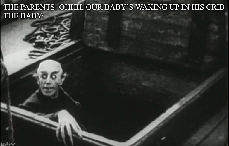 Nosferatu | THE PARENTS: OHHH, OUR BABY’S WAKING UP IN HIS CRIB
THE BABY: | image tagged in nosferatu | made w/ Imgflip meme maker