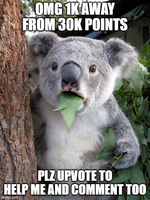 plz | OMG 1K AWAY FROM 30K POINTS; PLZ UPVOTE TO HELP ME AND COMMENT TOO | image tagged in memes,surprised koala | made w/ Imgflip meme maker