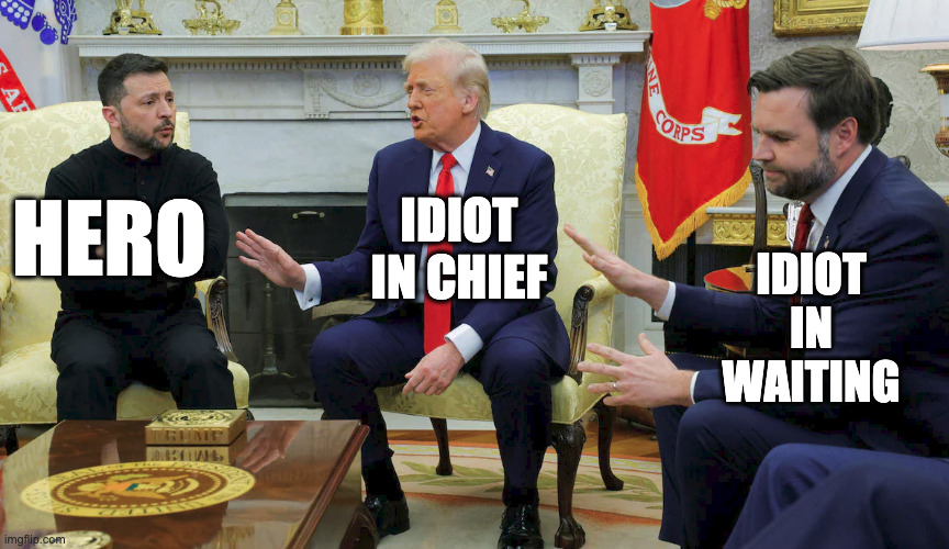 Not all heroes wear capes | HERO; IDIOT IN WAITING; IDIOT IN CHIEF | image tagged in trump selensky vance | made w/ Imgflip meme maker