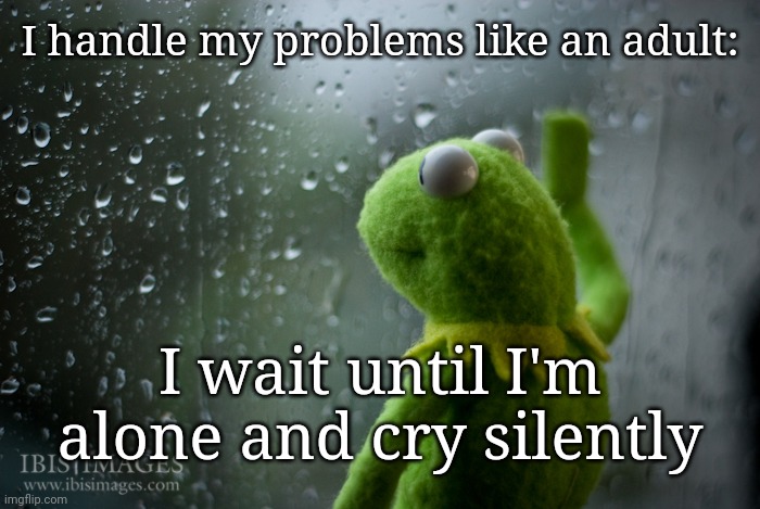 Kermit the frog rainy day | I handle my problems like an adult:; I wait until I'm alone and cry silently | image tagged in kermit the frog rainy day | made w/ Imgflip meme maker