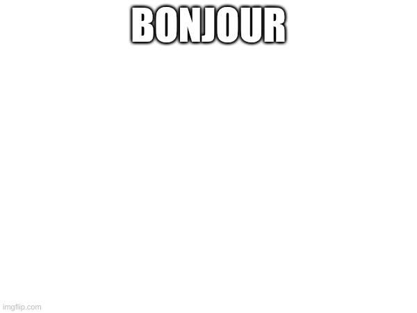 BONJOUR | image tagged in why | made w/ Imgflip meme maker