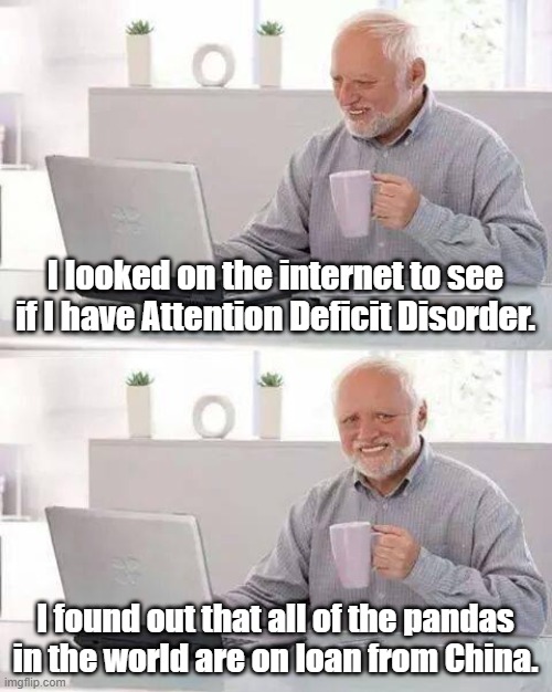 Hide the Pain Harold | I looked on the internet to see if I have Attention Deficit Disorder. I found out that all of the pandas in the world are on loan from China. | image tagged in memes,hide the pain harold | made w/ Imgflip meme maker