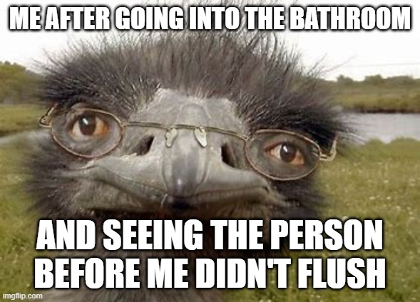 Disappointing | ME AFTER GOING INTO THE BATHROOM; AND SEEING THE PERSON BEFORE ME DIDN'T FLUSH | image tagged in relatable | made w/ Imgflip meme maker