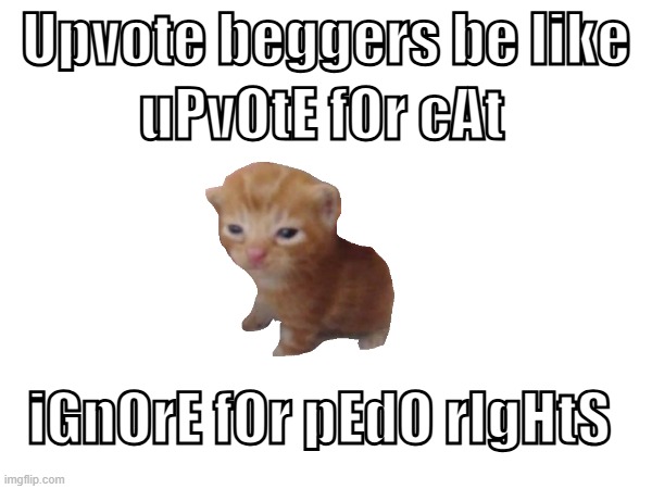 Before you jump in with (Upvote begger spotted) I'm not intending to upvote beg it's about what I seen what upvote beggers | Upvote beggers be like; uPvOtE fOr cAt; iGnOrE fOr pEdO rIgHtS | image tagged in stop upvote begging,relatable,imgflip users,upvotes | made w/ Imgflip meme maker