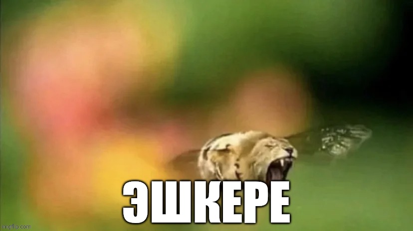 Bee Lion | ЭШКЕРЕ | image tagged in bee lion | made w/ Imgflip meme maker