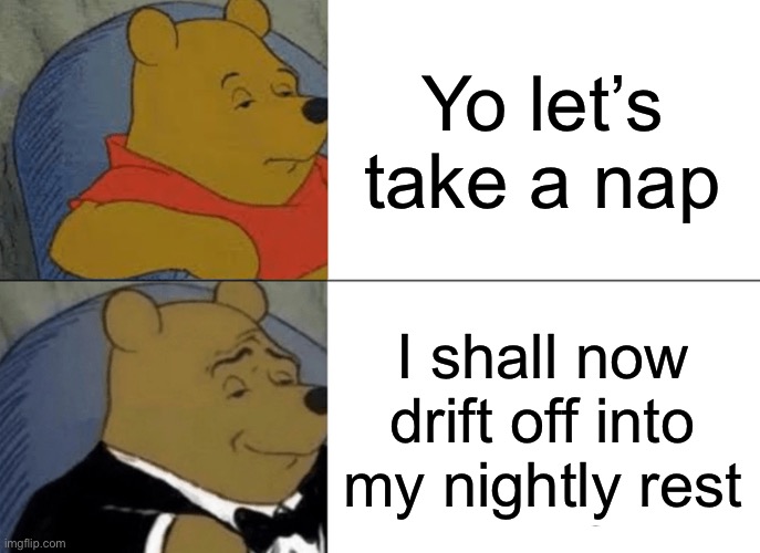 The second one sucks | Yo let’s take a nap; I shall now drift off into my nightly rest | image tagged in memes,tuxedo winnie the pooh,sleep | made w/ Imgflip meme maker