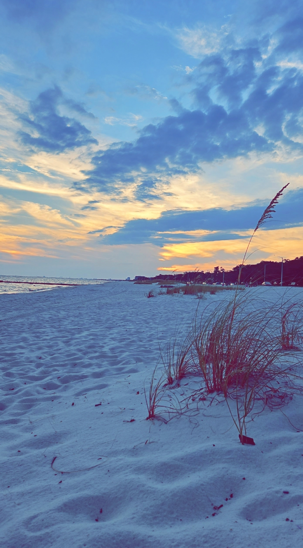 Biloxi Beach Blank Meme Template