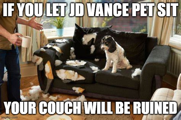 JD Vance and Couch | IF YOU LET JD VANCE PET SIT; YOUR COUCH WILL BE RUINED | image tagged in jd vance and couch | made w/ Imgflip meme maker