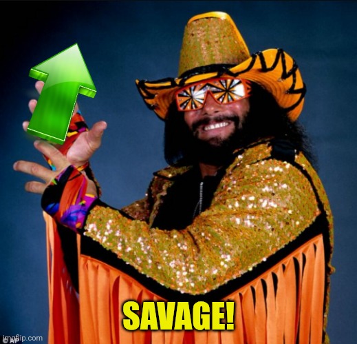 Macho man Randy savage | SAVAGE! | image tagged in macho man randy savage | made w/ Imgflip meme maker