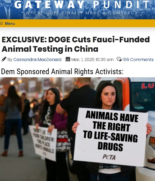 Dem Sponsored Animal Rights Activists: | image tagged in animal rights,democrats,doge,satire,american politics | made w/ Imgflip meme maker