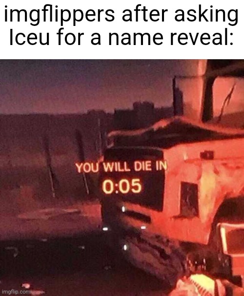 You will die in 0:05 | imgflippers after asking Iceu for a name reveal: | image tagged in you will die in 0 05 | made w/ Imgflip meme maker