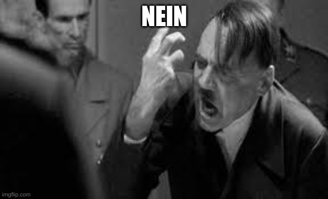 nein | NEIN | image tagged in nein | made w/ Imgflip meme maker