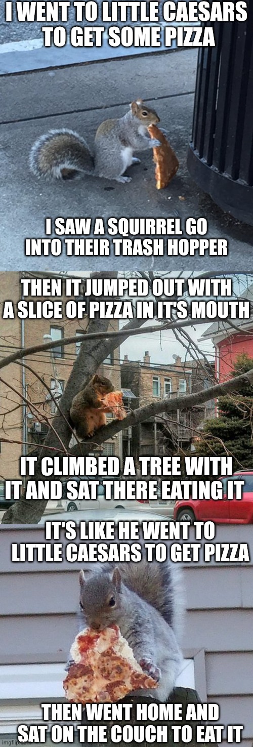 DID THE SAME THING I WAS GONNA DO | I WENT TO LITTLE CAESARS
 TO GET SOME PIZZA; I SAW A SQUIRREL GO INTO THEIR TRASH HOPPER; THEN IT JUMPED OUT WITH A SLICE OF PIZZA IN IT'S MOUTH; IT CLIMBED A TREE WITH IT AND SAT THERE EATING IT; IT'S LIKE HE WENT TO LITTLE CAESARS TO GET PIZZA; THEN WENT HOME AND SAT ON THE COUCH TO EAT IT | image tagged in memes,pizza,squirrel,pizza time | made w/ Imgflip meme maker