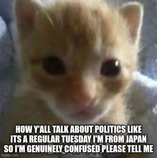 not judging just curious | HOW Y'ALL TALK ABOUT POLITICS LIKE ITS A REGULAR TUESDAY I'M FROM JAPAN SO I'M GENUINELY CONFUSED PLEASE TELL ME | image tagged in politics,japan,confuzzled,why are you reading the tags | made w/ Imgflip meme maker