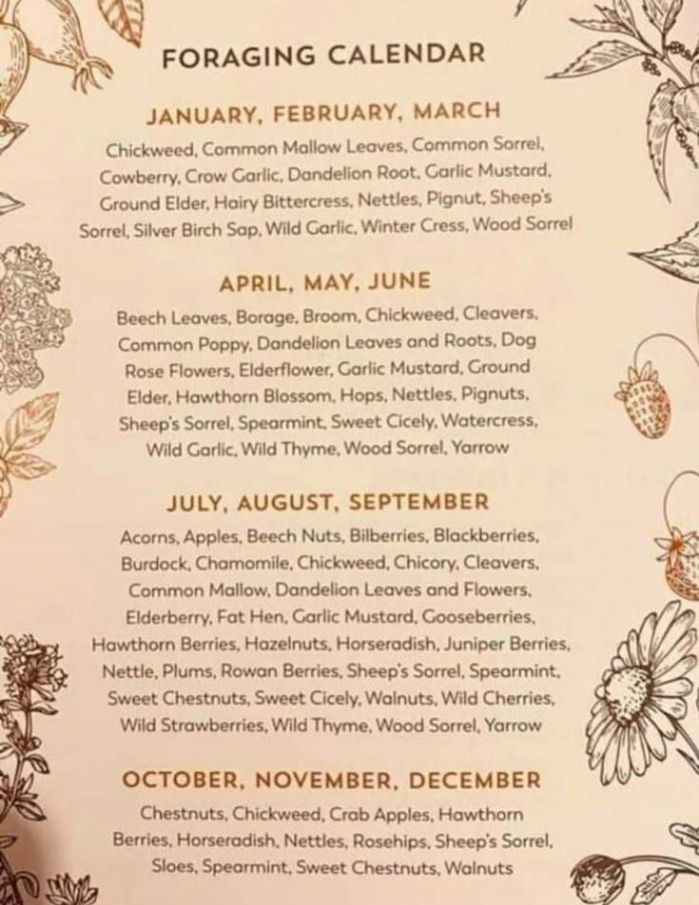 Foraging Calendar. Blank Meme Template