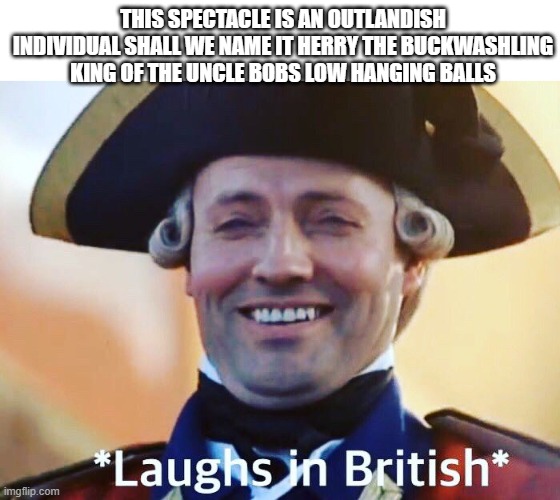 Laughs In British | THIS SPECTACLE IS AN OUTLANDISH INDIVIDUAL SHALL WE NAME IT HERRY THE BUCKWASHLING KING OF THE UNCLE BOBS LOW HANGING BALLS | image tagged in laughs in british | made w/ Imgflip meme maker