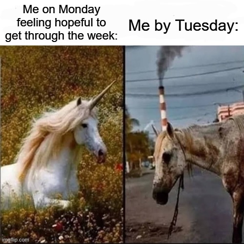 My week be like: | Me by Tuesday:; Me on Monday feeling hopeful to get through the week: | image tagged in unicorn vs dirty horse | made w/ Imgflip meme maker