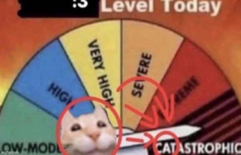 Cat | made w/ Imgflip meme maker