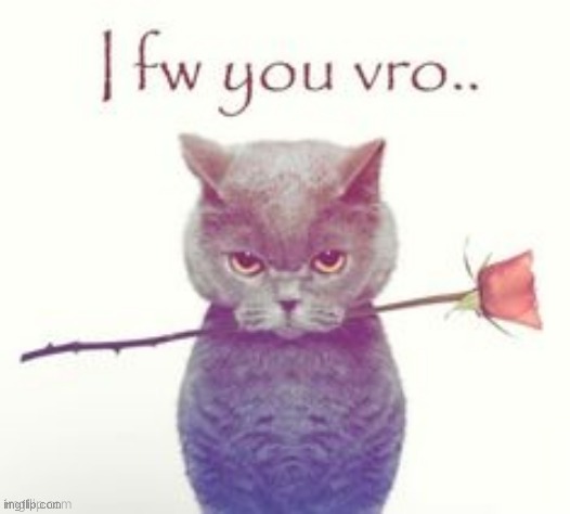 I FW you bro | image tagged in i fw you bro | made w/ Imgflip meme maker