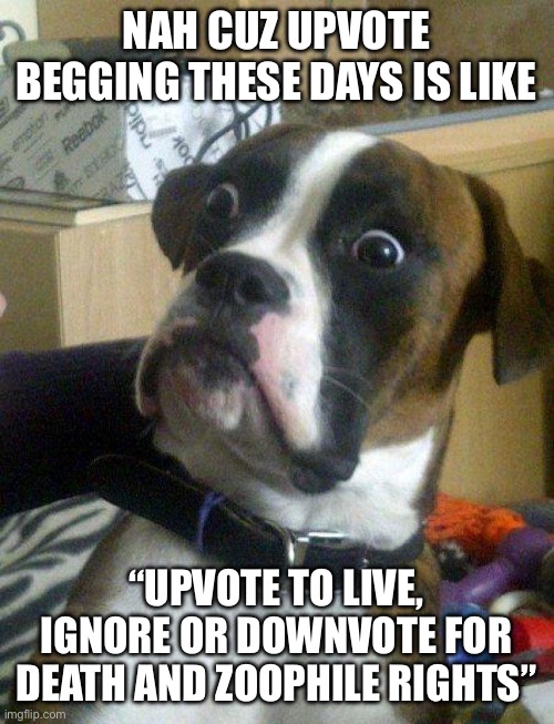 I don’t want to support begging or support zoophiles. | NAH CUZ UPVOTE BEGGING THESE DAYS IS LIKE; “UPVOTE TO LIVE, IGNORE OR DOWNVOTE FOR DEATH AND ZOOPHILE RIGHTS” | image tagged in blankie the shocked dog | made w/ Imgflip meme maker