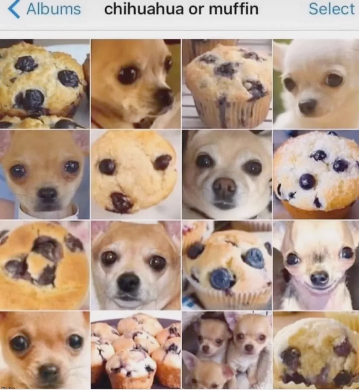 Imagine if captcha made you do this | made w/ Imgflip meme maker