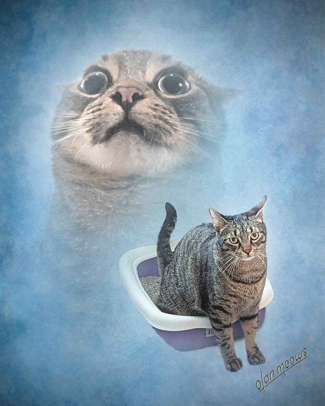 Neko Fight Blank Meme Template