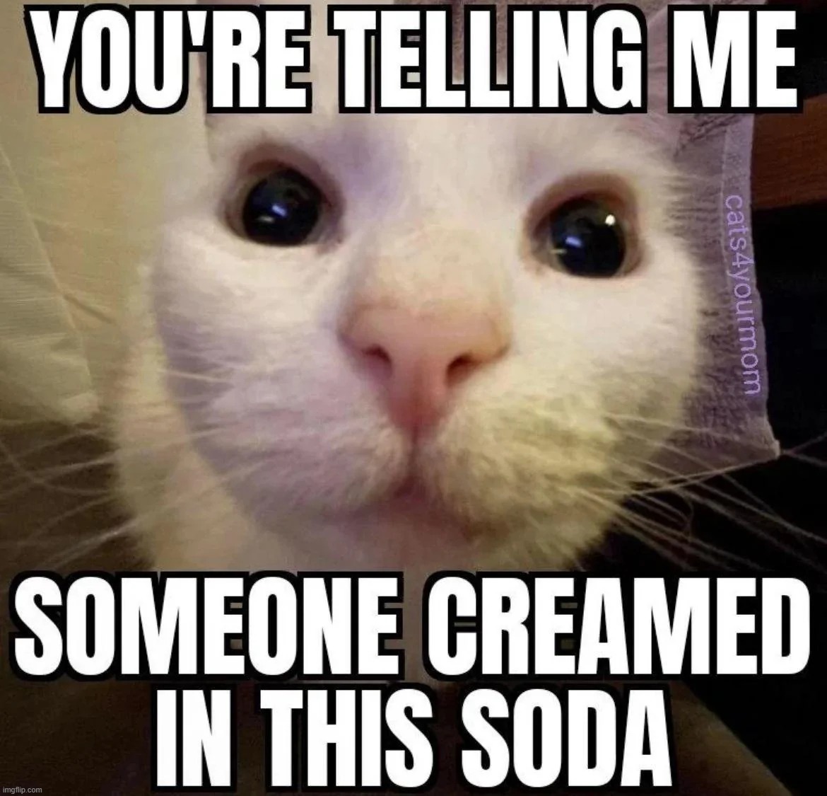made w/ Imgflip meme maker