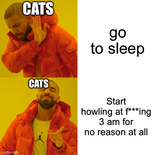 Drake Hotline Bling | CATS; go to sleep; CATS; Start howling at f***ing 3 am for no reason at all | image tagged in memes,drake hotline bling | made w/ Imgflip meme maker