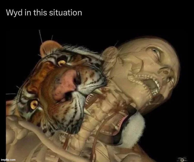 me personally i would just tank the bite like its ez work | made w/ Imgflip meme maker
