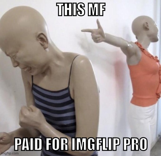 This mf paid for Twitter meme format | THIS MF PAID FOR IMGFLIP PRO | image tagged in this mf paid for twitter meme format | made w/ Imgflip meme maker