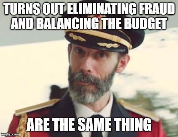 They're the same thing | TURNS OUT ELIMINATING FRAUD
AND BALANCING THE BUDGET; ARE THE SAME THING | image tagged in captain obvious | made w/ Imgflip meme maker