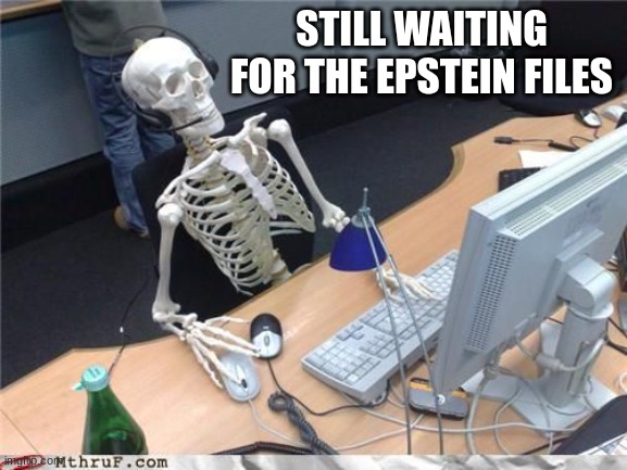 Commie A$$ Clowns | STILL WAITING FOR THE EPSTEIN FILES | image tagged in skeleton computer | made w/ Imgflip meme maker