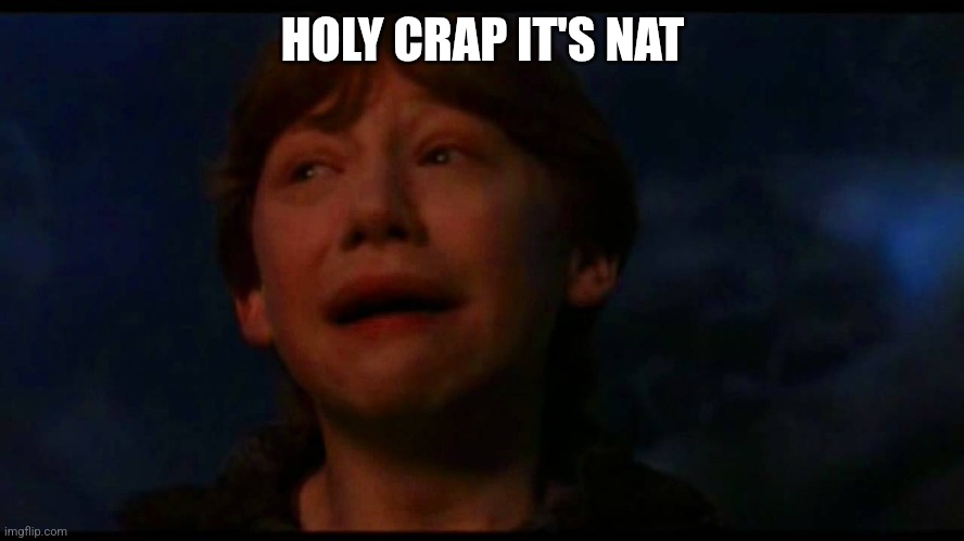 Ron weasley panic now | HOLY CRAP IT'S NAT | image tagged in ron weasley panic now | made w/ Imgflip meme maker