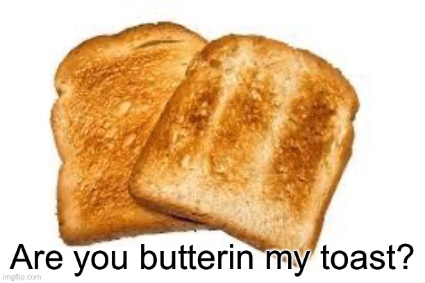 Toast | Are you butterin my toast? | image tagged in toast | made w/ Imgflip meme maker