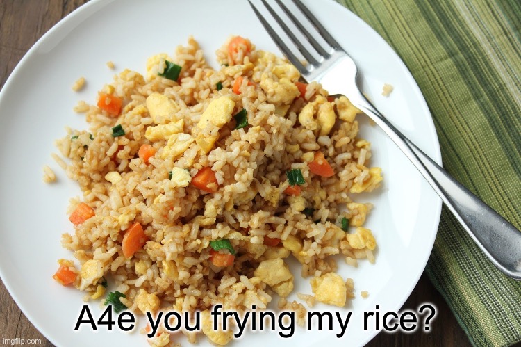 Egg Fried Rice | A4e you frying my rice? | image tagged in egg fried rice | made w/ Imgflip meme maker