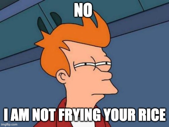 im not doing that either | NO; I AM NOT FRYING YOUR RICE | image tagged in memes,futurama fry | made w/ Imgflip meme maker