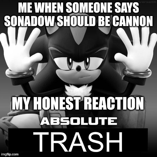 Absolute trash | ME WHEN SOMEONE SAYS SONADOW SHOULD BE CANNON; MY HONEST REACTION | image tagged in absolute trash | made w/ Imgflip meme maker