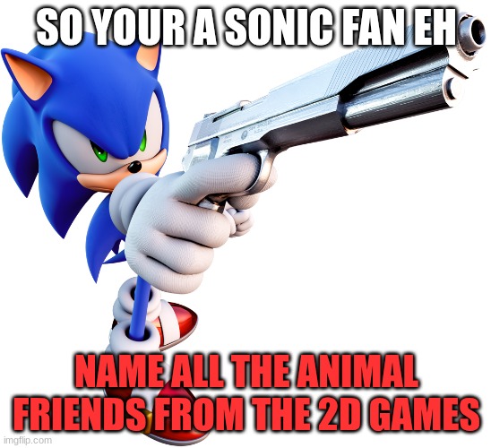 Sonic with a gun | SO YOUR A SONIC FAN EH; NAME ALL THE ANIMAL FRIENDS FROM THE 2D GAMES | image tagged in sonic with a gun | made w/ Imgflip meme maker