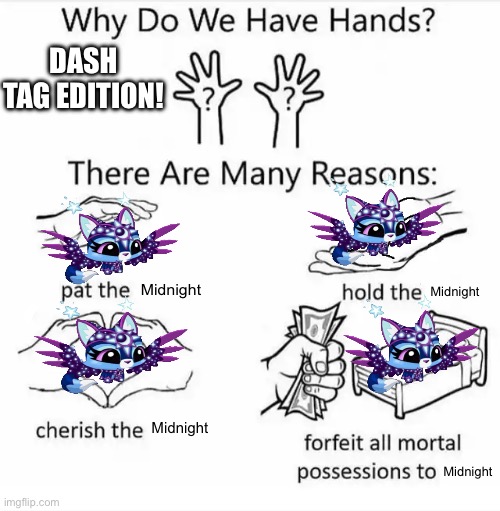 Why do we have hands(midnight dash tag) | DASH TAG EDITION! Midnight; Midnight; Midnight; Midnight | image tagged in why do we have hands all blank | made w/ Imgflip meme maker