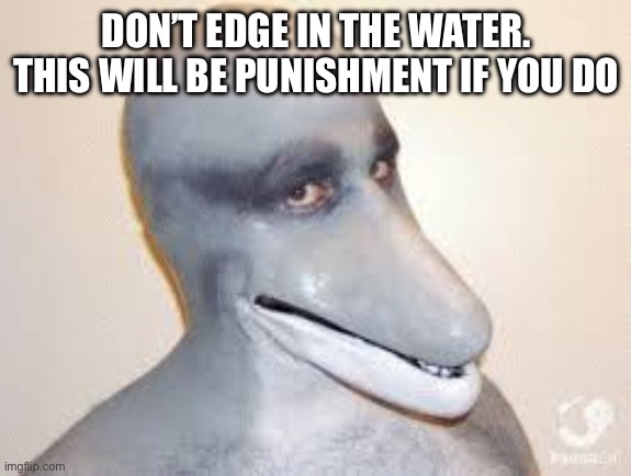 Dolphin Guy | DON’T EDGE IN THE WATER. THIS WILL BE PUNISHMENT IF YOU DO | image tagged in dolphin guy | made w/ Imgflip meme maker