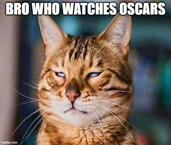 that face you make eyeroll cat | BRO WHO WATCHES OSCARS | image tagged in that face you make eyeroll cat | made w/ Imgflip meme maker