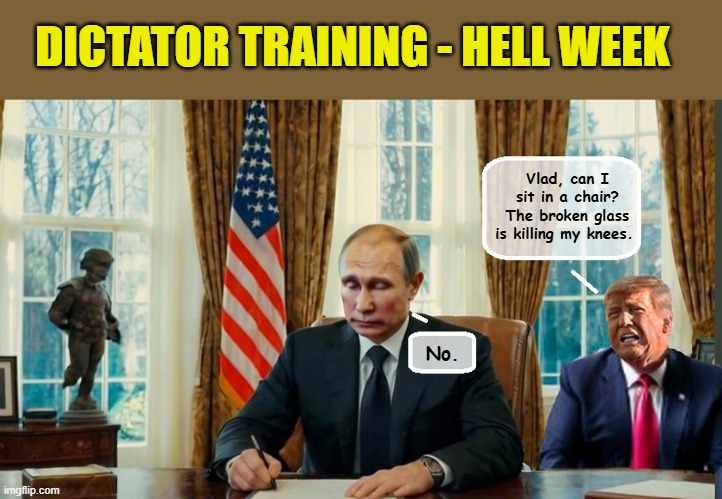 Little Donny, Pledging the Big Leagues | DICTATOR TRAINING - HELL WEEK; Vlad, can I sit in a chair? The broken glass is killing my knees. No. | image tagged in donald trump is an idiot,vladimir putin,trump putin,donald trump the clown | made w/ Imgflip meme maker
