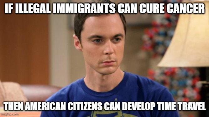 Contemplation | IF ILLEGAL IMMIGRANTS CAN CURE CANCER; THEN AMERICAN CITIZENS CAN DEVELOP TIME TRAVEL | image tagged in sheldon logic | made w/ Imgflip meme maker