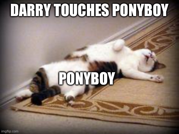 Ponyboy is over dramatic | DARRY TOUCHES PONYBOY; PONYBOY | image tagged in dramatic kitty,outsiders | made w/ Imgflip meme maker