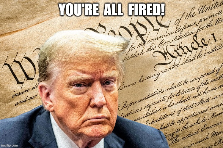 Overthrowing the United States Government | YOU'RE  ALL  FIRED! | image tagged in maga | made w/ Imgflip meme maker